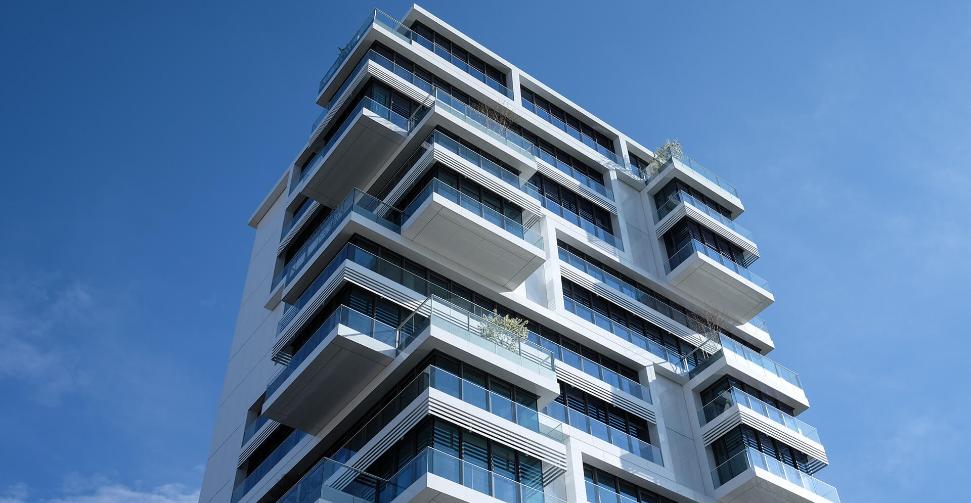 Happy professional after getting a job